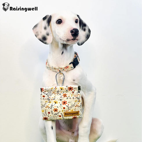 Raisingwell Dog Treat Pouch, Small Cotton Pocket Sized Training Holder, Hand Free Walking Funny Bag with Carabiner