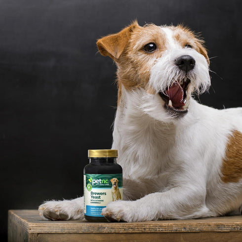 (250 10 Lbs Petnc Natural Care Brewers Yeast Dog Skin and Coat Supplement Chewables), With B Vitamins, Antioxidants