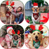 SATINIOR 4 Pcs Adjustable 3D Christmas Dog Santa Hat - Classic Buffalo Plaid Scarf, Reindeer Antlers Headband for Pets