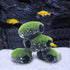 PINVNBY Stone Aquarium Hideaway Decoration, Cichlids Rock Decor with Moss, Betta Cave Tunnel Ornament (L)