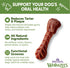 WHIMZEES Wellness Daily Brushzees Dog Dental Treats, Natural Chews, Extra Small Size Stick (28 Count)