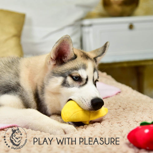 Pets&Goods Plush Squeaky Chew Toys for Small Dogs, 6-Pack Fruit & Vegetable Toy Set