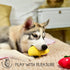 Pets&Goods Plush Squeaky Chew Toys for Small Dogs, 6-Pack Fruit & Vegetable Toy Set