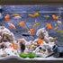 Sumind 30 Pieces Fake Goldfish, Plastic Floating Artificial Aquarium Fish Ornament Decorations