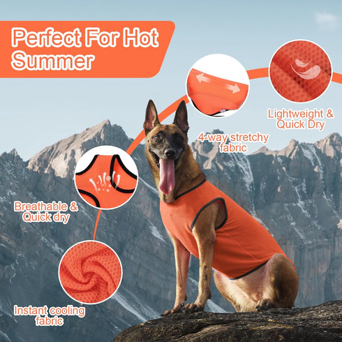 2 Pack Quick Dry Dog Shirt, Lightweight Mesh Breathable Dog Clothes for Medium Dogs Boy Girl,Sports Fan Pet T-Shirts for Dog&Cat Puppy Vest Pet Apparel P23ST00605XL