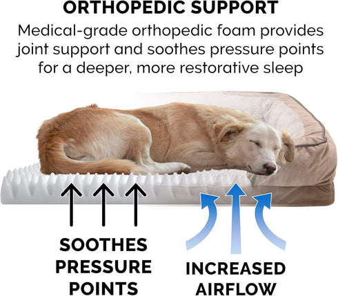 Furhaven Orthopedic Dog Bed for Medium/Small Dogs, Removable Bolsters & Washable Cover, Plush Velvet Waves, Brownstone,