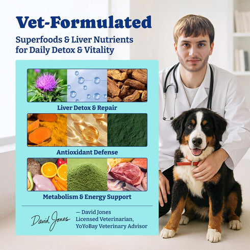 Immune 120 Count Milk Thistle Liver Support Chews for Dogs Soft Chews with NAC, Curcumin, Choline & Dandelion Supports