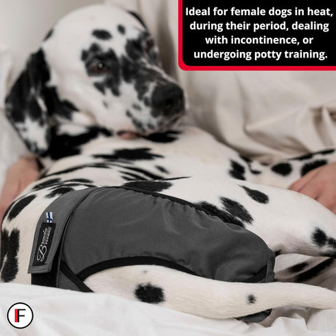 FINNERO Brenda Reusable Dog Diaper, Leak-Proof, Adjustable, Heat & Incontinence Protection, XL Camo