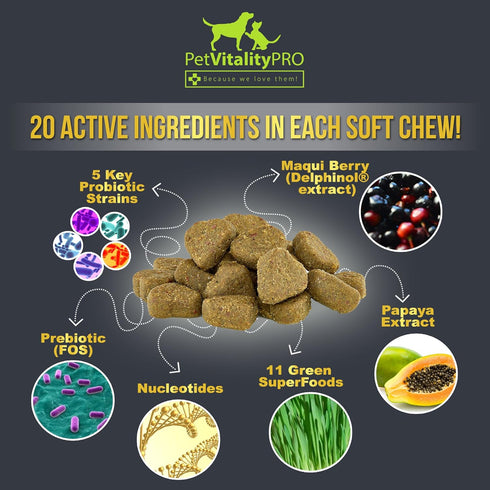 Probiotics for Dogs with Natural Digestive Enzymes, 60 Count, Soft Chews for Diarrhea, Upset Stomach, Allergies