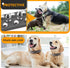 PETCARE Spiked Dog Collar, Black Soft PU Leather with Funny Mushrooms Rivet, Adjustable for Small to Large Dogs