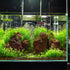 Fish Tank Aquarium Heater, Adjustable Temperature Submersible Thermostat Heater, 25W/50W/100W/150W/200W/300W