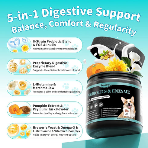 10B 5 5 90 Count Probiotics for Dogs, Digestive Enzymes & Pumpkin Fiber for Gut Health and Bowel Support, Dog