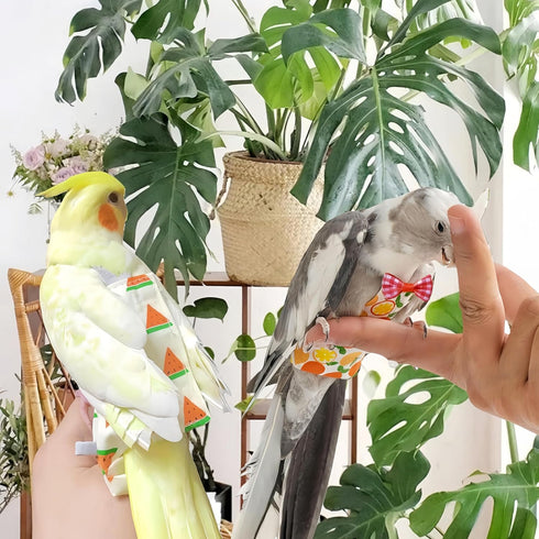 Magnoloran 6Pcs Bird Diapers Bird Harness Flight Suits Diapers Reusable Parrot Nappy with Waterproof Inner Layer