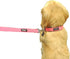 Downtown Pet Supply Deluxe Padded Adjustable Dog Collar - Blue, L - Metal Buckle & D-Ring, Machine Washable & Water