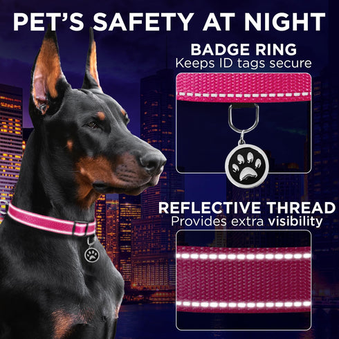 TECEUM Reflective Pet Collar – Hot Pink – M – Basic Nylon Dog Collar with Extra Soft Padding – Quick Release Buckle