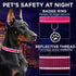 TECEUM Reflective Pet Collar – Hot Pink – M – Basic Nylon Dog Collar with Extra Soft Padding – Quick Release Buckle