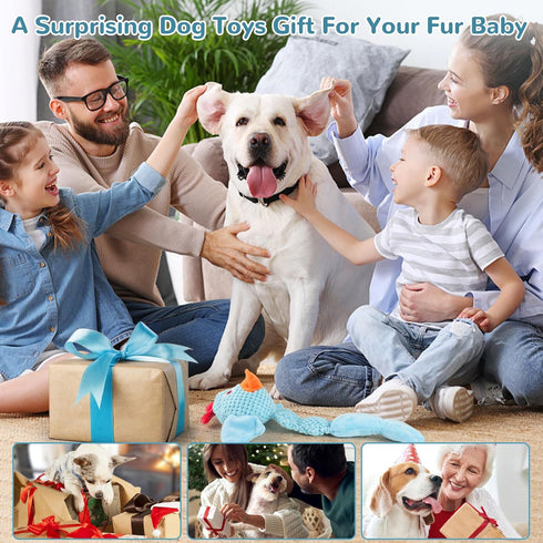 Squeaky Dog Toys for Medium and Small Dogs, Interactive Tug of War Toy for Puppy Teething