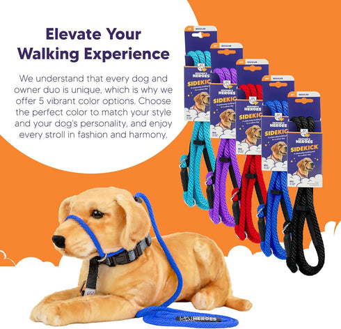 Heather's Heroes Sidekick Dog Headcollar with Leash, Effective Training Tool for Leash Reactivity (Blue, Mini)
