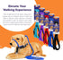 Heather's Heroes Sidekick Dog Headcollar with Leash, Effective Training Tool for Leash Reactivity (Blue, Mini)