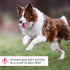 Pet Pain Away All Natural Dog Arthritis Pain Relief | Homeopathic Pain Reliever for Dogs and Cats