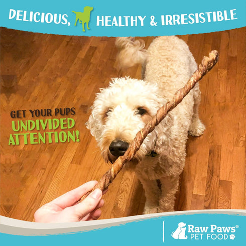 Raw Paws Lamb Esophagus Twists for Dogs, 12 Inch, 5-ct, Natural Dog Lamb Treats from Free-Range Sheep