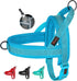 Didog No Pull Dog Harness, Breathable Mesh Padded, Quick Fit Adjustable Vest for Small, Medium & Large Dogs (Blue, S)