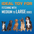 Nerf Dog Atomic Flyer Outdoor Dog Toy, 10 Inch Flying Disc for Medium and Large Dogs, Red