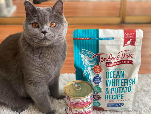 Tender & True Ocean Whitefish & Potato Recipe Cat Food, 3 lb