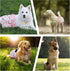 3Pack Reusable Dog Diapers Female,Washable Diaper for Doggie,Highly Absorbent Dog Diaper,Adjustable Leakproof Puppy