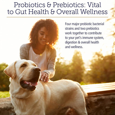 Rx Vitamins Rx Biotic Probiotic Powder for Dogs and Cats - Digestive Support for Cats & Dogs, 2.12oz