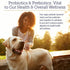 Rx Vitamins Rx Biotic Probiotic Powder for Dogs and Cats - Digestive Support for Cats & Dogs, 2.12oz