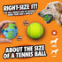 (2.5 Inch Pack 1, 20-60 lbs Chuckit! EcoFetch Fetch Ball Dog Toy, Medium Diameter) of for Breeds