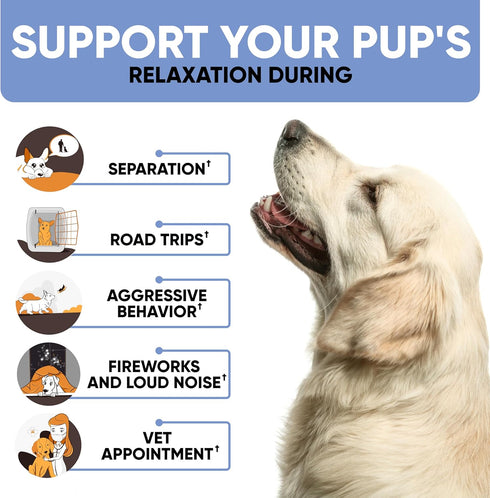 Kinpur Pet Care Calming Chews for Dogs - Hemp Oil Aid for Thunderstorms, Separation, Hip and Joint Health, 180 Chews