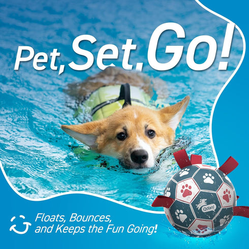 (6 Inch) QDAN Dog Balls, World Cup Soccer Ball with Straps, Durable Herding Balls for Small Medium Pet, Puppy Birthday