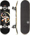 Magneto Complete Skateboard | Maple Wood | ABEC 5 Bearings | Double Kick Concave Deck for Beginners and Teens