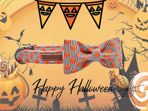 Elegant Little Tail Halloween Dog Collar with Pumpkin Print Bowtie, Adjustable Holiday Gift Collars for Small Medium