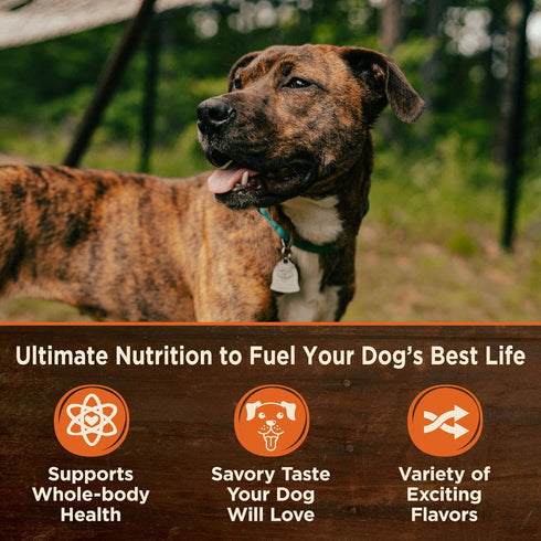 Wellness 12.5 Oz Natural Wet Grain Beef & Venison Free Canned Dog Food (12 Pack)