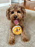 Territory Bagel Hide-and-Treat Dog Toy