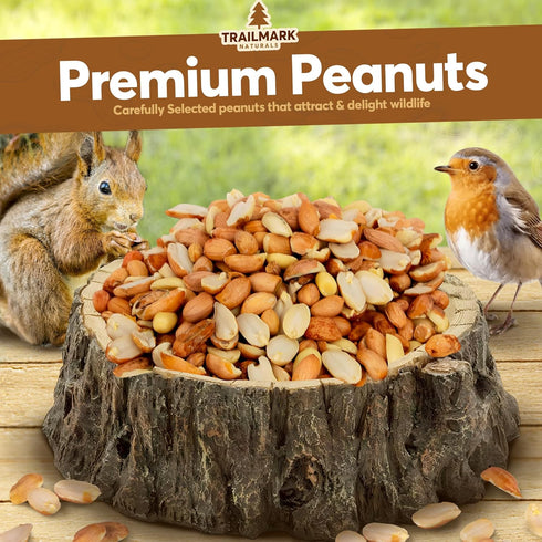 10 LB - Raw Shelled Peanuts For Squirrels, Out of Shell Peanuts For Birds and Wildlife- Squirrel Food, Wild Bird Seed