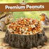 10 LB - Raw Shelled Peanuts For Squirrels, Out of Shell Peanuts For Birds and Wildlife- Squirrel Food, Wild Bird Seed