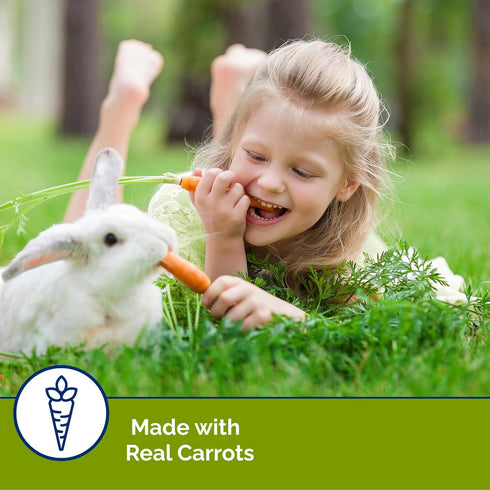 Chinchillas (10oz) Vitakraft Slims Carrot Small Animal Treats Light, Healthy Food Bites - Crispy Carrot Treats