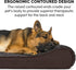 Furhaven Orthopedic Dog Bed for Medium/Small Dogs, Removable Washable Cover, Ultra Plush Faux Fur & Suede Luxe Lounger