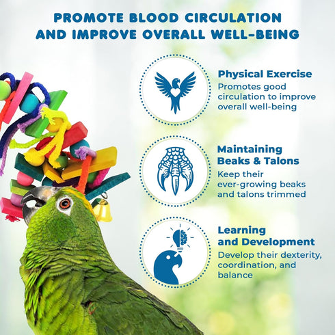 SunGrow Medium Chewing Parrot Toy, Colorful Chew Toy for Cockatoos, African Grey, Macaws, and Amazon Parrots