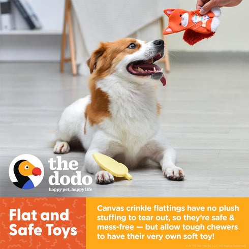 The Dodo Woodland Animals Stuffingless Dog Toy Set: Squirrel & Acorn, Durable No Plush Squeaky Toys for Dogs