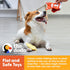 The Dodo Woodland Animals Stuffingless Dog Toy Set: Squirrel & Acorn, Durable No Plush Squeaky Toys for Dogs