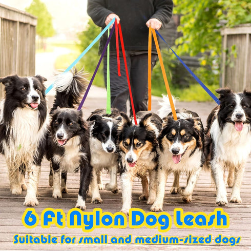 Sanwuta 9 Pack Nylon Dog Training Leash, 6 ft for Small and Medium Dogs, Puppy Traction Rope for Training, Play, Camping