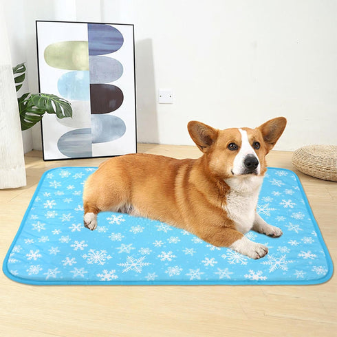 DELIFUR Large Dog Cooling Mat - Self Cooling Pad for Small Medium Dogs, Machine Washable, Blue, Outdoor Use