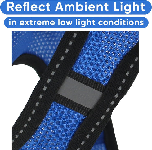 Pawtitas Dog Vest Harness, Breathable Air Mesh, All Weather Vest for Small Puppies and Large Cats, Blue Mesh