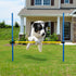 Dog Agility Training Equipment - Height Adjustable Jumper Hurdle Bar, Portable Obstacle Course Tool for Backyard