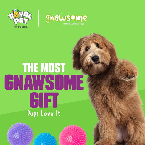 Gnawsome 4.5” Spiky Squeak & Light Ball Dog Toy - Extra Large, Cleans Teeth, Promotes Dental Health, Colors Vary